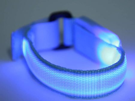 1 Piezas Brazalete LED Deportivo, Pulseras Luminosas para Correr, Brazaletes Running de Azul, Ajustable Banda LED, Pulsera LED para Correr Ciclismo Pasear al Perro Andar en Bicicleta Cheap